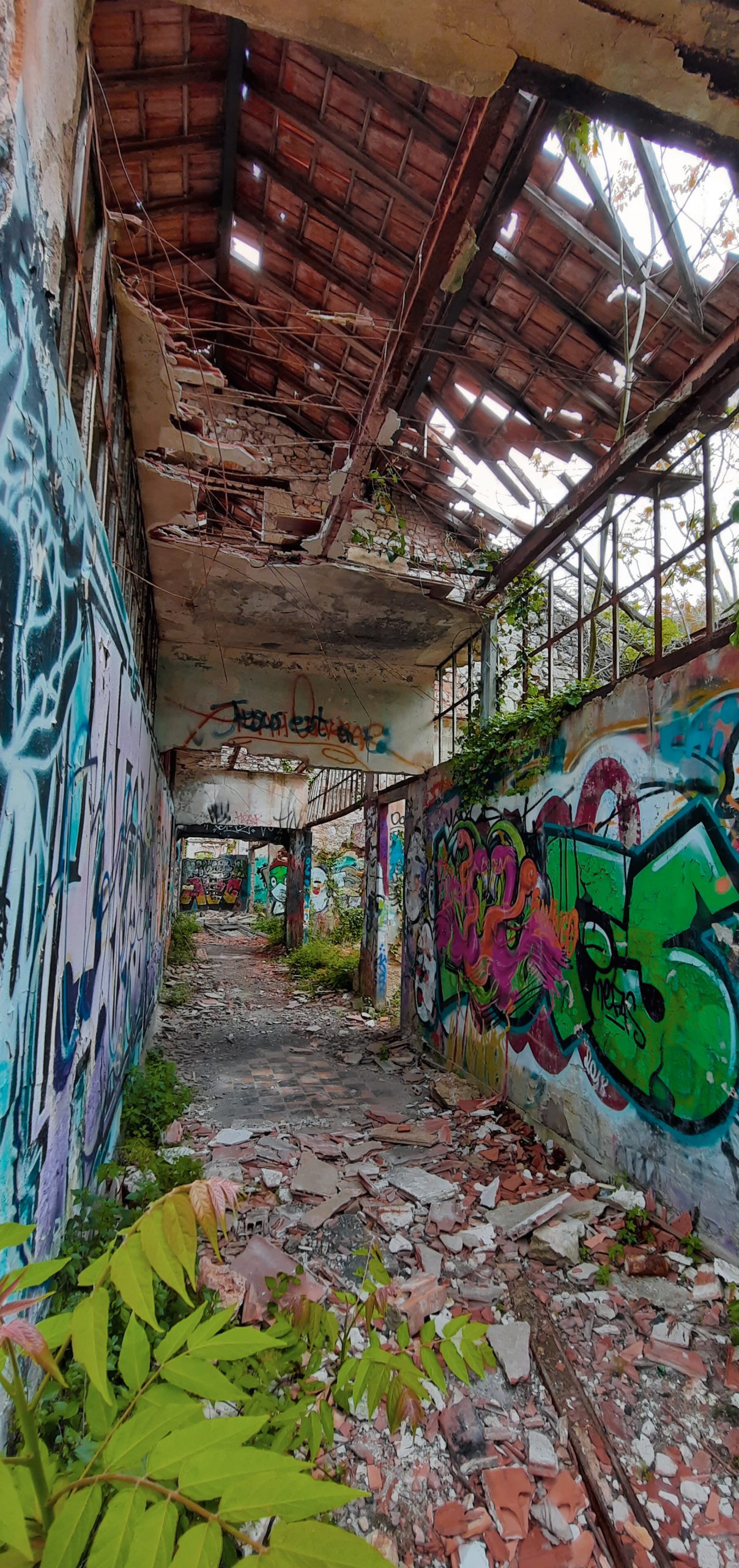 photo du fort abandonné de la tête de chien à Monaco