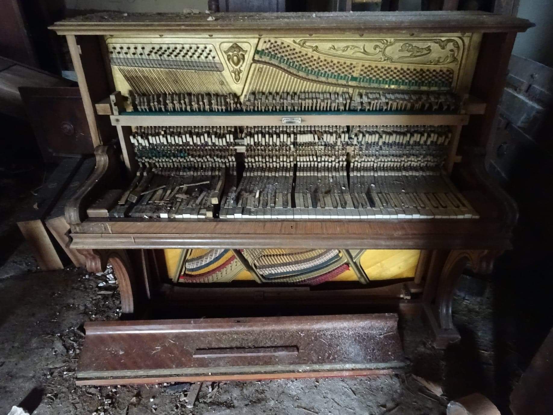 Le domaine viticole abandonné