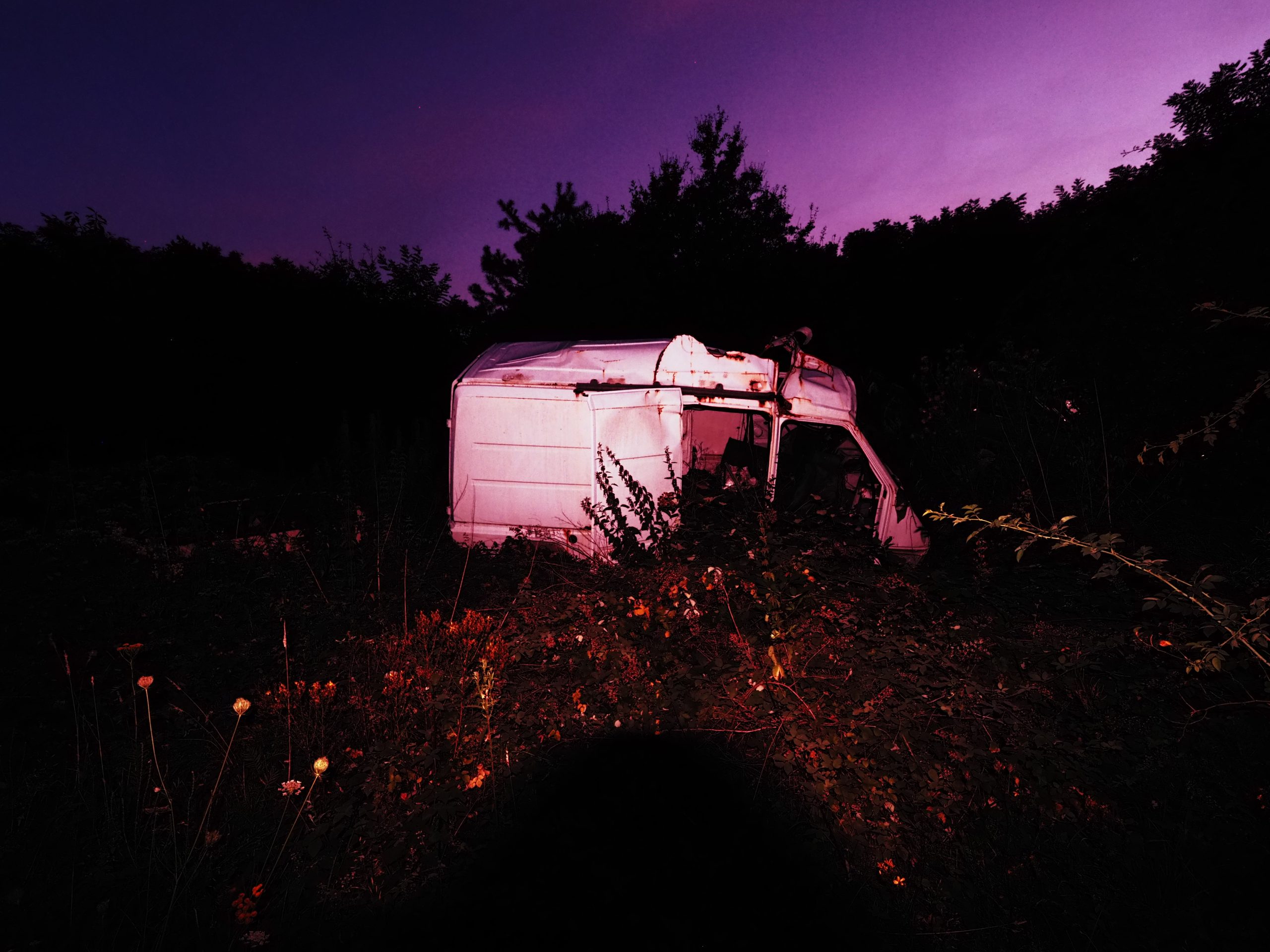camions abandonnés en forêt de montargis