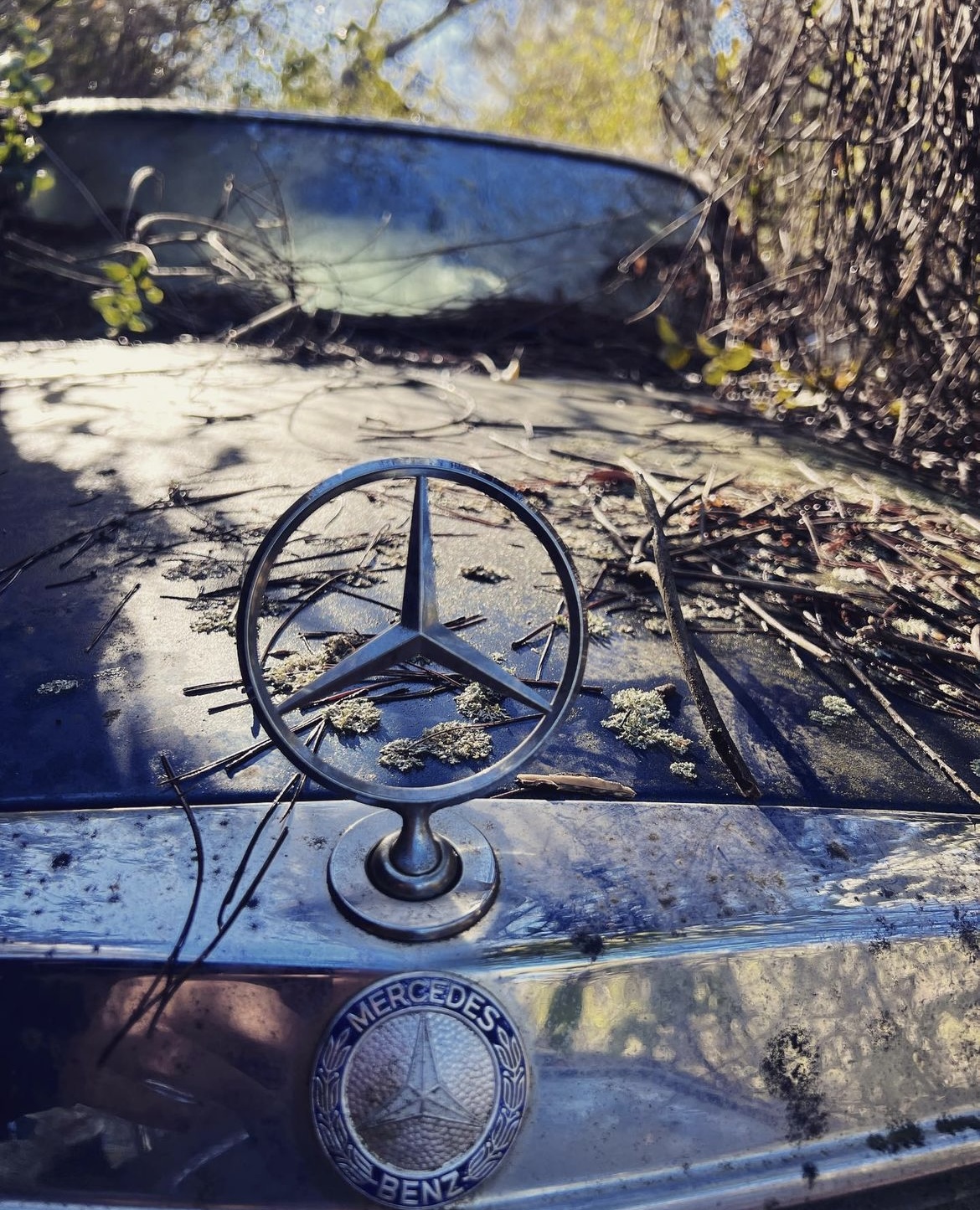 Un cimetière de voitures abandonnées dans les Alpes maritimes
